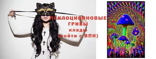 a pvp Горнозаводск