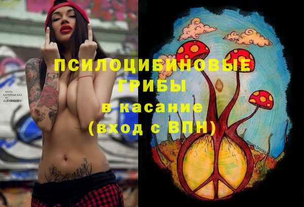 Альфа ПВП Горно-Алтайск
