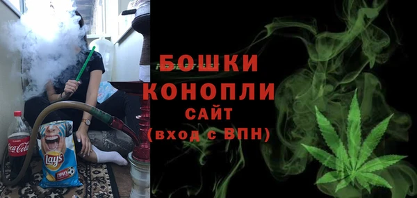 прущие грибы Сатка