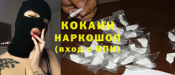 прущие грибы Сатка