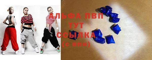 прущие грибы Сатка