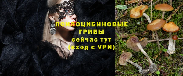 крисы Вяземский