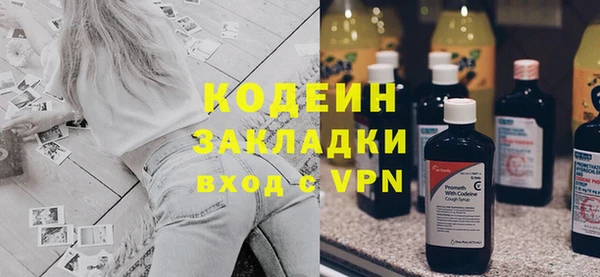 прущие грибы Сатка